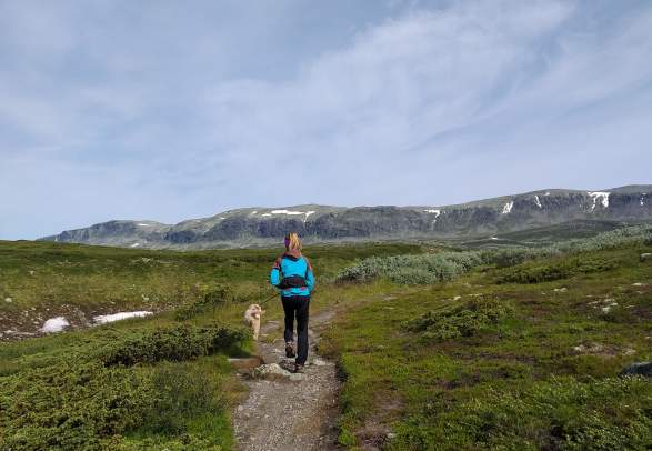 Mørehovda Ål in Hallingdal