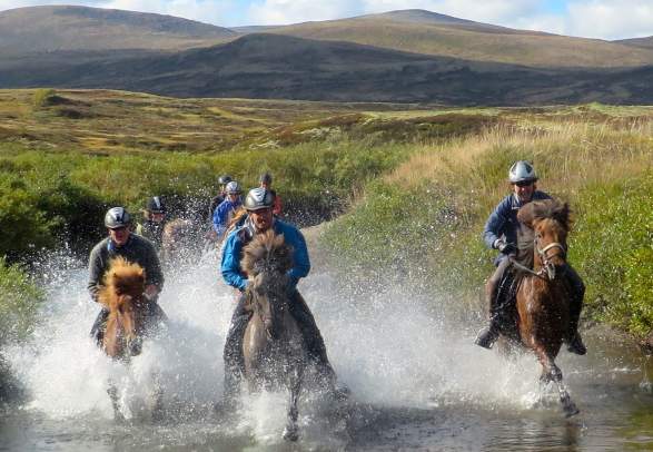 Opplevelser på hesteryggen - Mesna Opplevelser & Overnatting