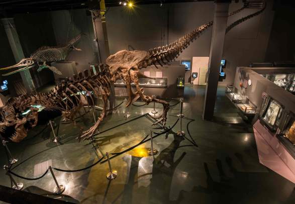 Museo di storia naturale