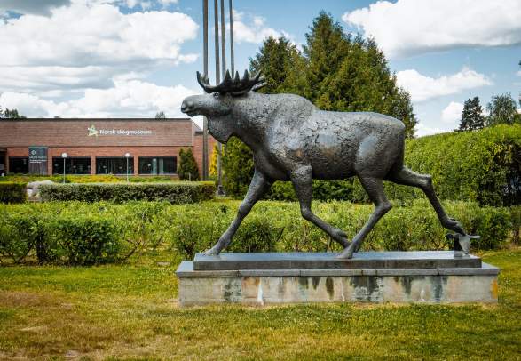 Anno Norsk skogmuseum