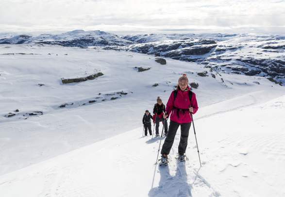 Hiking In Norway Places To Go Hiking Gear Mountain Hiking