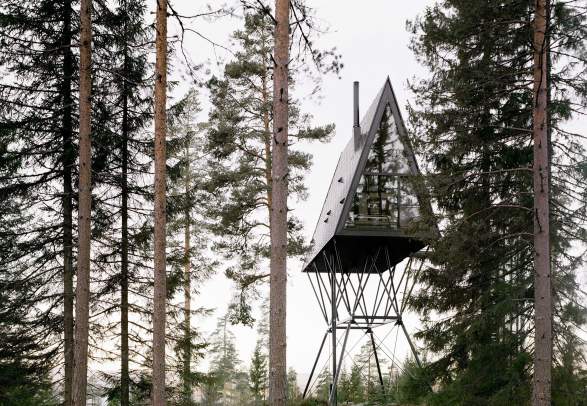 Pan Treetop Cabins