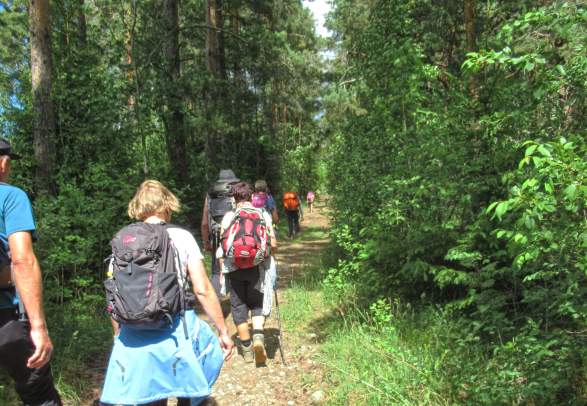 The Pilgrims trail through Ringerike