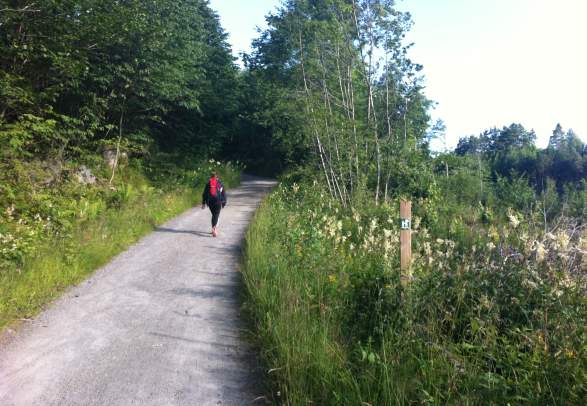 Child Wanderer Path Kristiansand - Birkeland