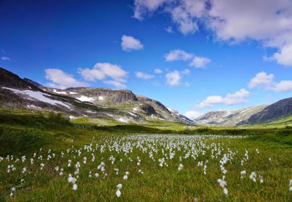Børgefjell/Byrkjie National Park
