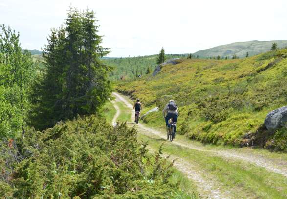 Family trip to Svartfjell (10 km)