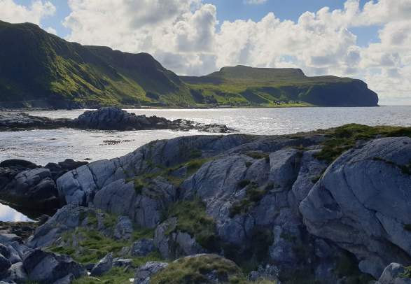 Seaweed safari & cooking 3 hours