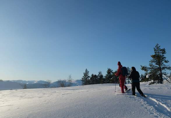 Amazing Snow Shoe Hike