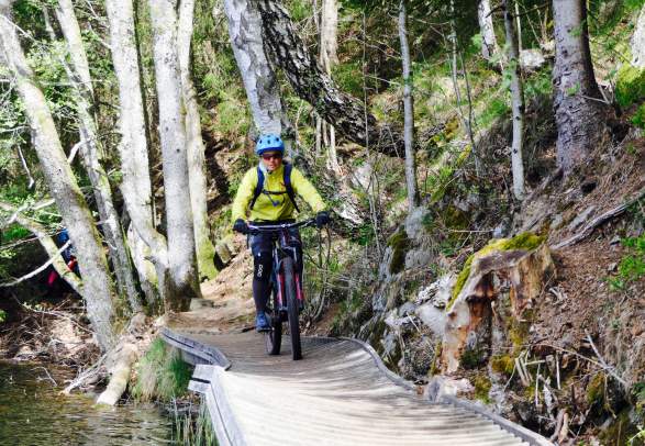 Arendal Singletrack - the Heavyweight