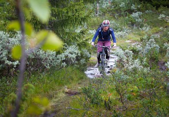 The small round trip of Golsfjellet (Easy/Medium - 20 km) - Golsfjellet