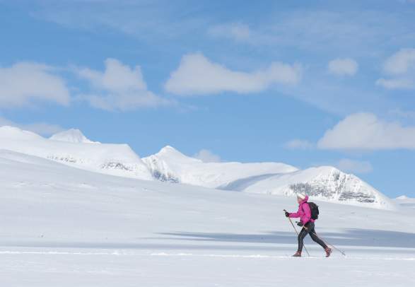 Rondane National Park