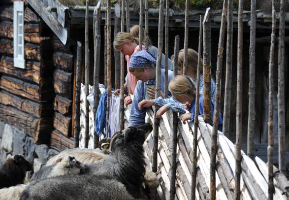 Maihaugen for children