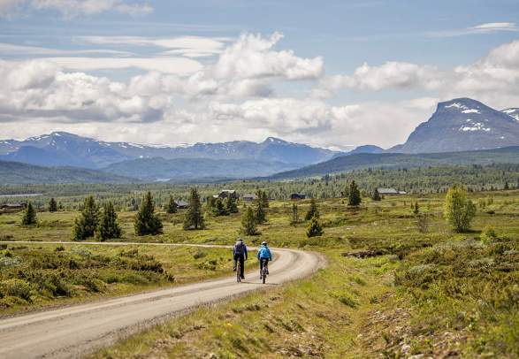 Mjølkevegen cycling route: Vinstra - Valdres - Gol (250 km)
