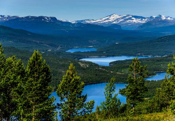 Langtjernrunde round-trip in Espedalen (5 km)