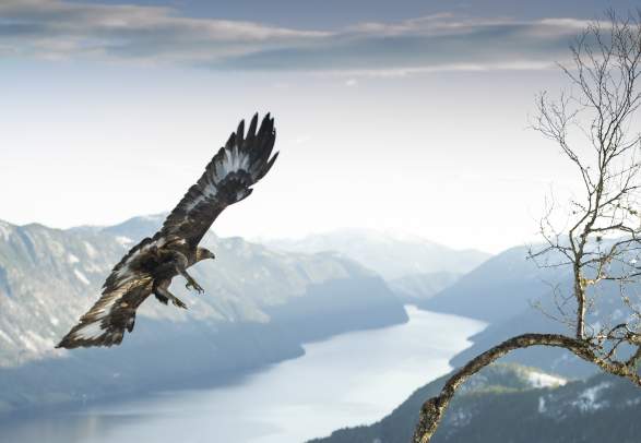 Havententoonstelling in Dalen