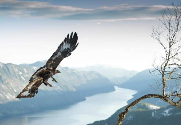 Dalen Villmarkssenter