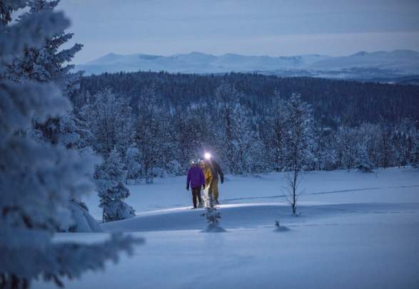 Dog Sleigh Riding, Gålå
