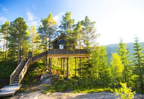 Himmelhøy Tretopphytte