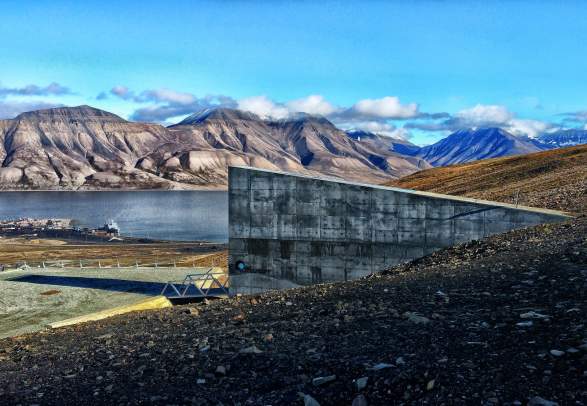 All in one - Sightseeing, Bird watching and Husky Visit - Discover Svalbard