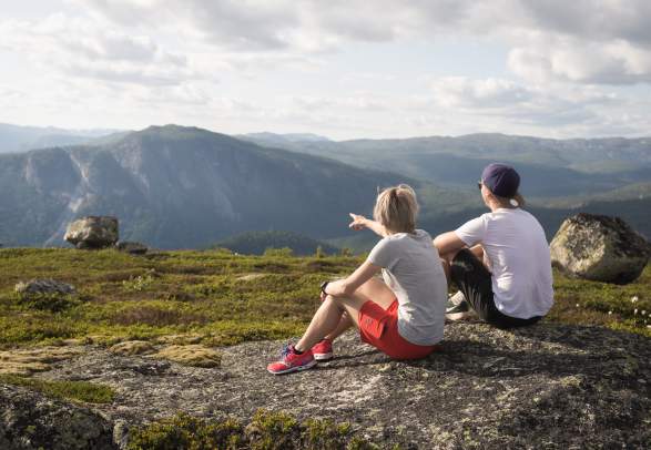 Homfjellet - round trip 8,5 km