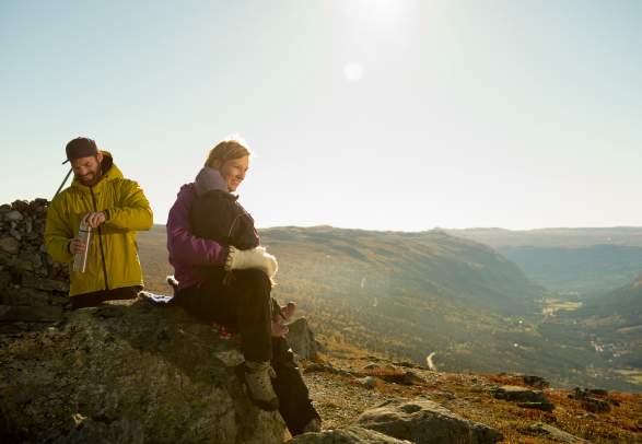Hardangervidda national park
