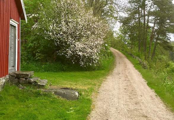 Vestlandske Hovedvei - ”Kongeveien”
