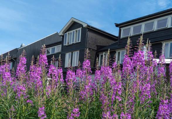 Nøsen Yoga og Fjellhotell