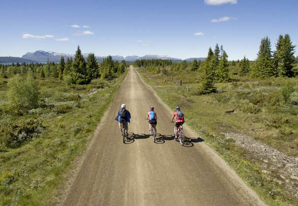 Mjølkevegen: The South Route - package by Jotunheimen Tavel