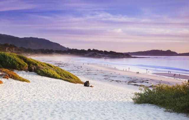 Places to hook up in monterey