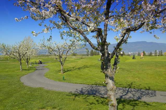 Kelowna Golf - Harvest Club