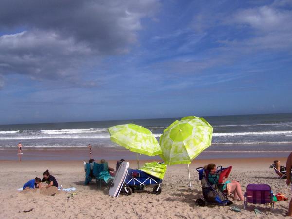 Daytona Beach Fl Find Your Favorite In From Surf Fishing To Bird Watching In Ormond By The Sea S North Peninsula State Park Beach Goers Are Offered Miles Of Unspoiled