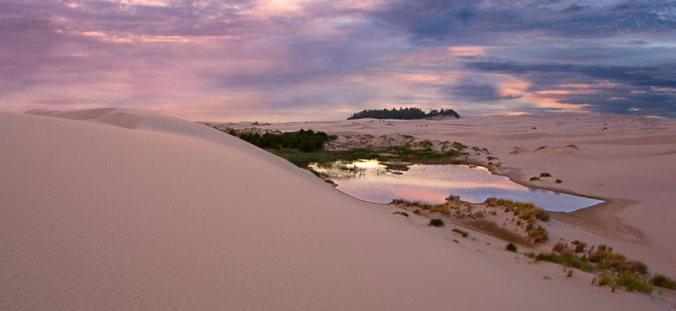 Oregon Beaches Dunes Eugene Cascades Coast Oregon Dunes National Recreation Area Florence Coast By Curt Peters