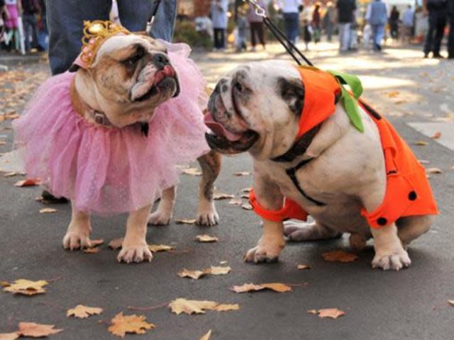 Photo courtesy of Midtown Association.