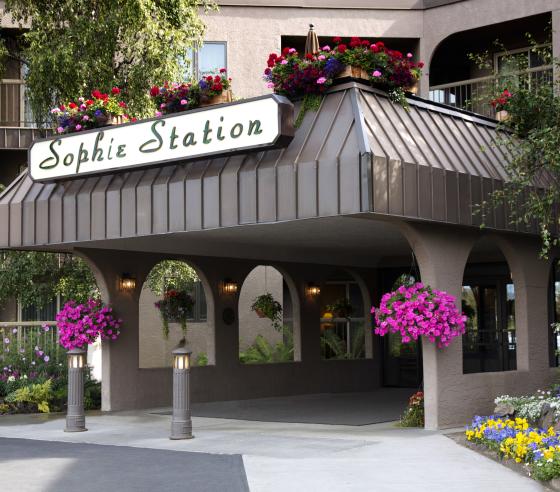Places To Stay Explore Fairbanks Alaska Sophie Station Suites Fountainhead Hotels