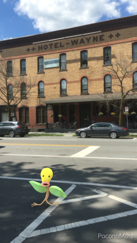 Pokémon GO in the Pocono Mountains