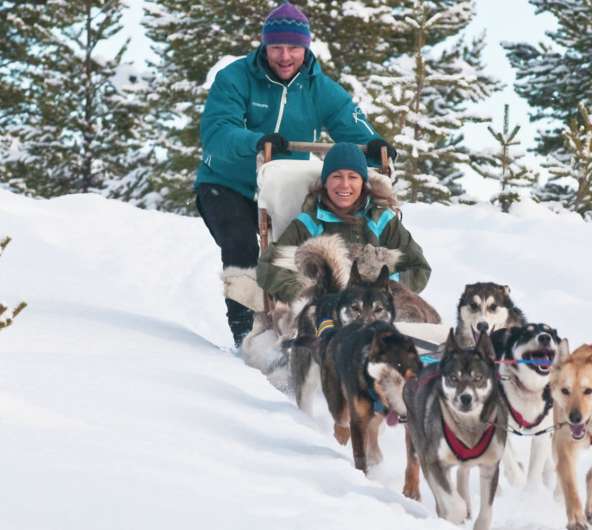 A man and a woman dog sledding in Femund/Engerdal