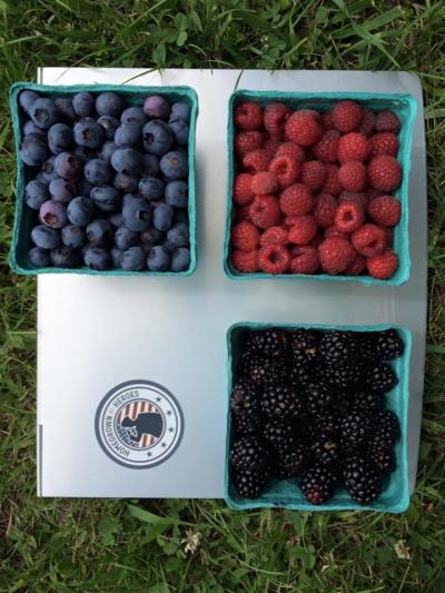 Oregon Trail Farm Berry Picking Baskets - Leavenworth, KS