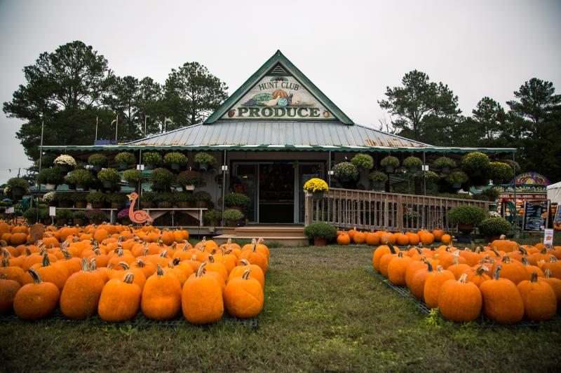 Things To Do In Virginia Beach This October Hunt Club Farm Fall Harvest Fair