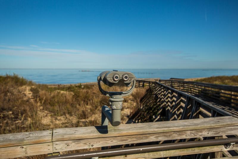 6 Reasons You Must Visit Virginia Beach This Fall Virginia Beach S First Landing State Park In The Fall