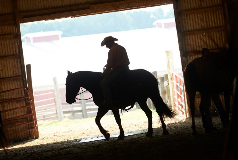 Michigan horse expo coupon