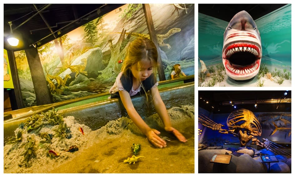 The Thanksgiving Point Institute in Salt Lake City