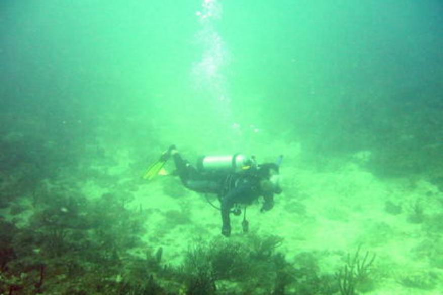 Divers Coves