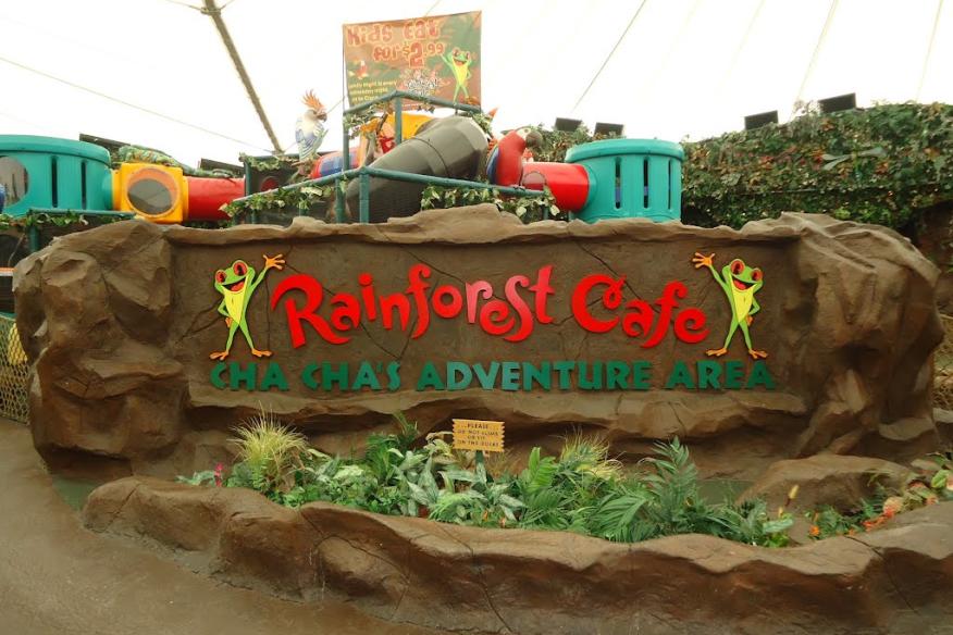 rainforestcafe1