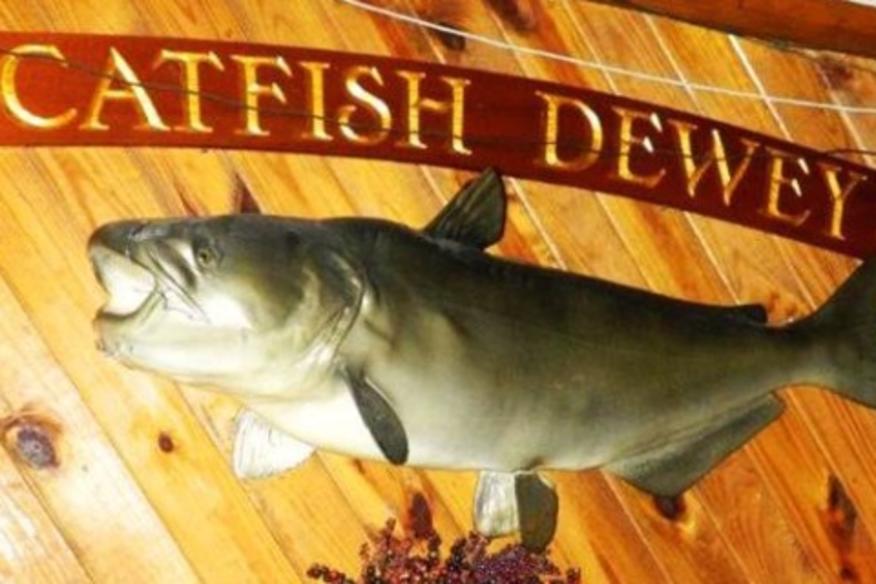 CATFISH DEWEYS Oakland Park, FL 333095241