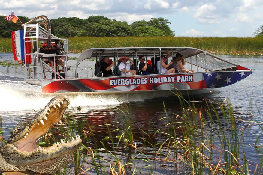 Airboat live