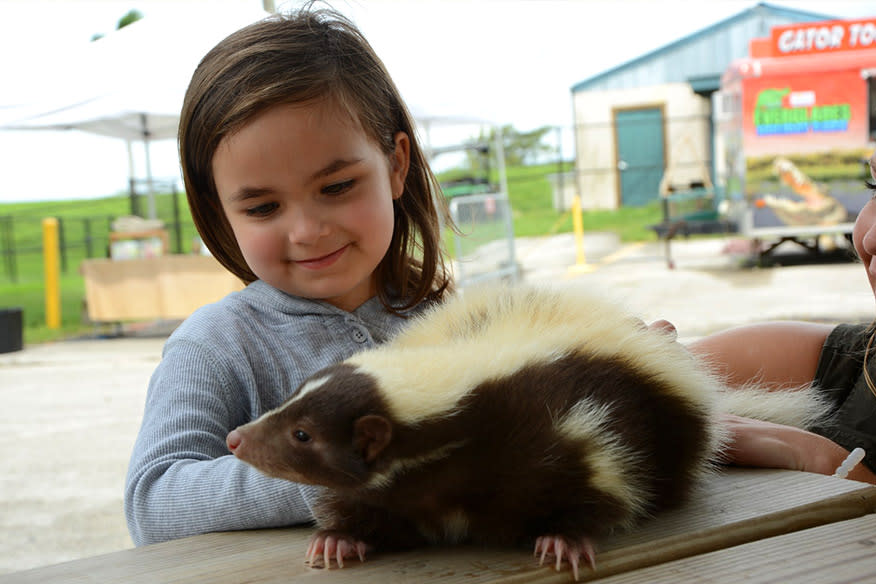 Everglades Holiday Park 5 Star Animal Encounters Fort Lauderdale Fl 33332