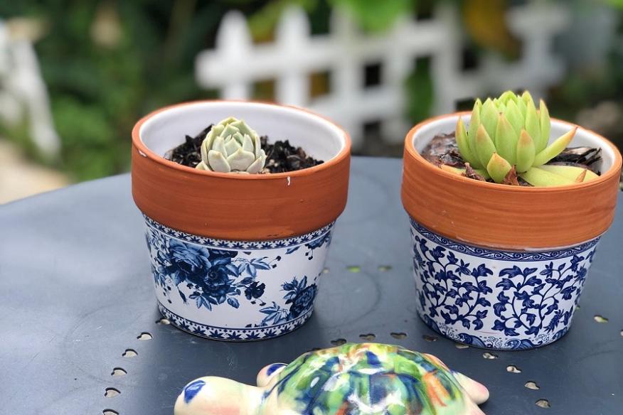 2 For 1 At Atelier New Day Pottery Lauderdale By The Sea Fl 33308