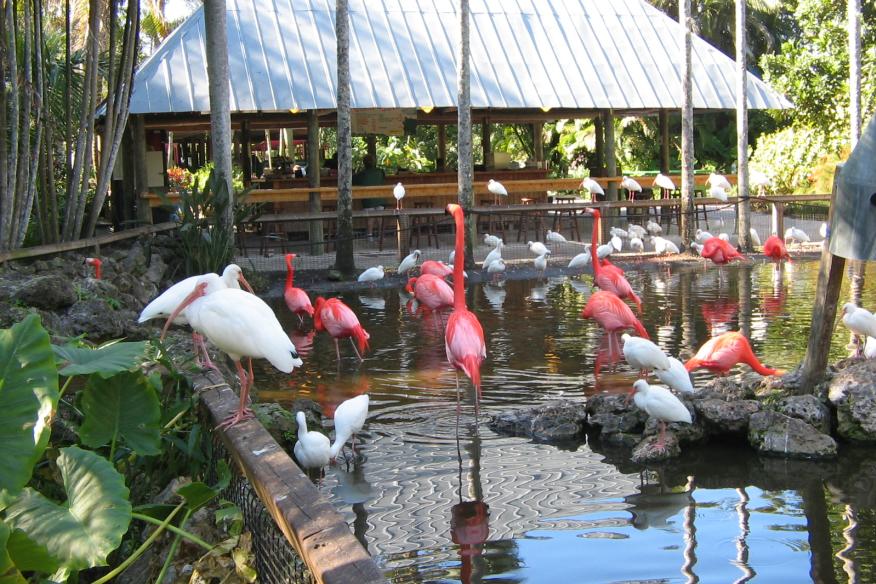 FLAMINGO GARDENS | Davie, FL 33330