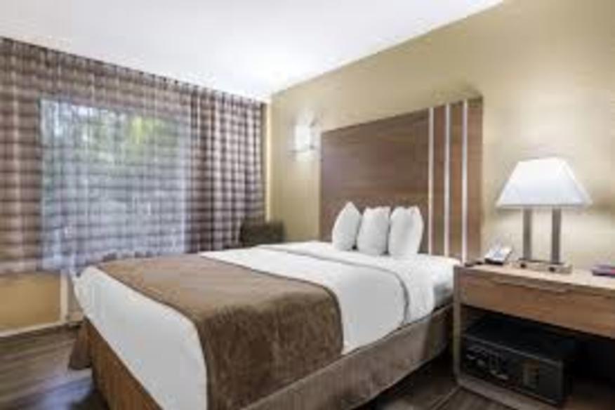Rodeway Inn Suites Fort Lauderdale Airport Cruise Port Pet Policy