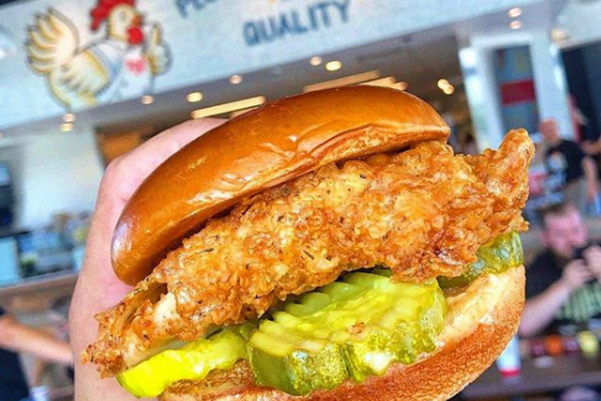 Pdq Dania Beach Fl 33004